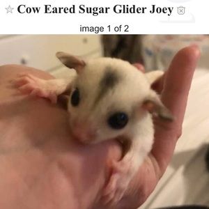 Meet your Posher, Marina