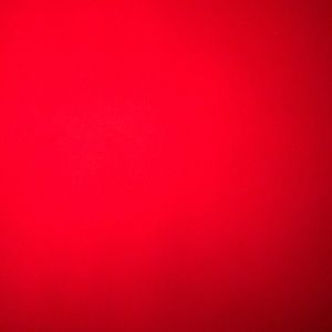 Meet your Posher, Max