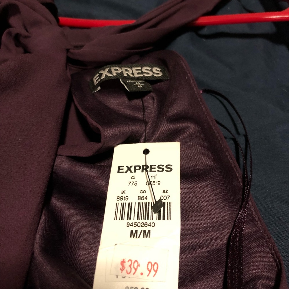 Express Dress - Picture 3 of 4
