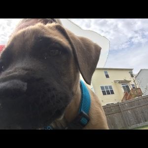 Meet your Posher, Michael