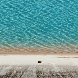 Meet your Posher, Terry