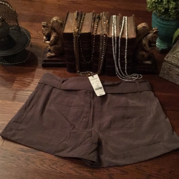 NWT Express Shorts - Picture 2 of 6