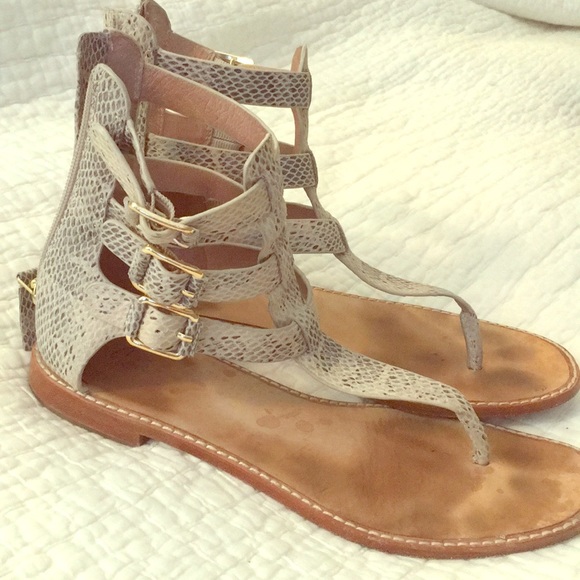 joie gladiator sandals