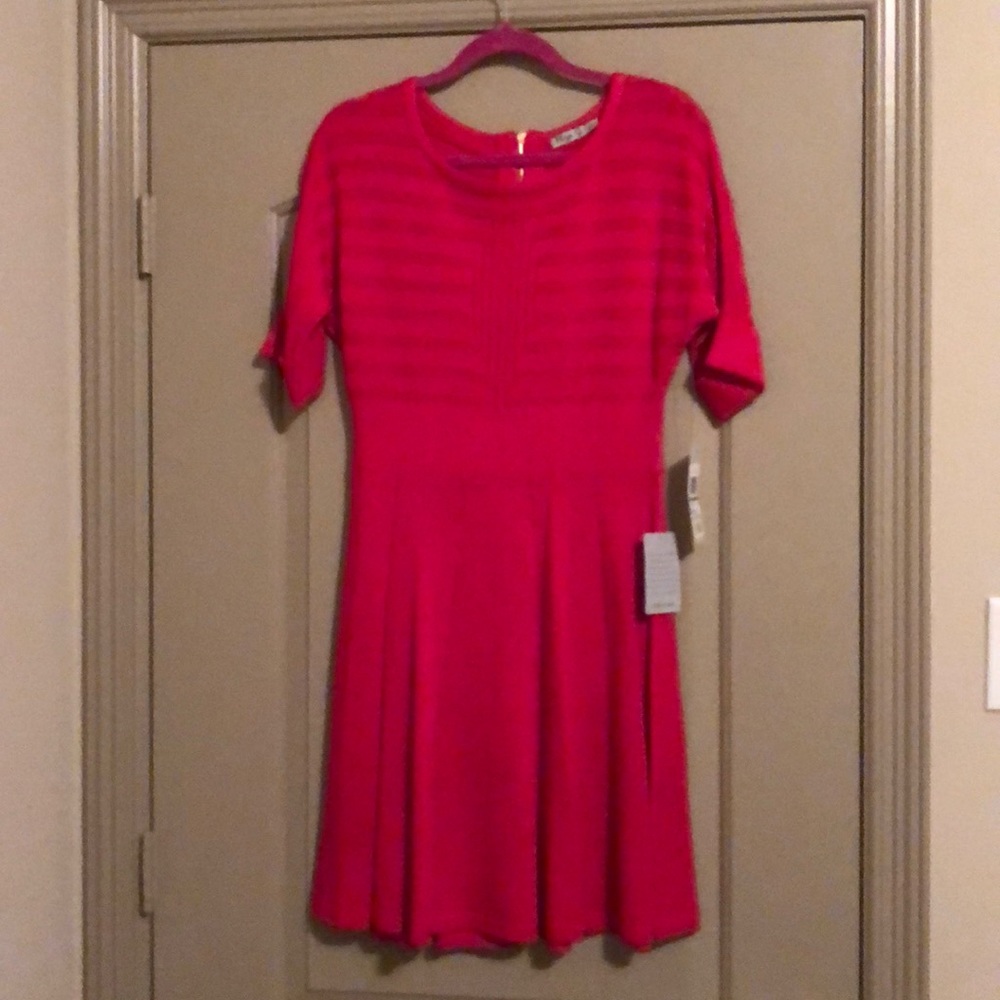 Eliza J Sweater Dress