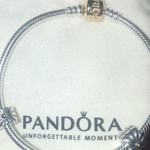 Pandora Bracelet