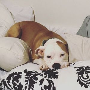 Meet your Posher, Elyse