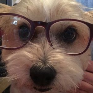 Meet your Posher, Julie