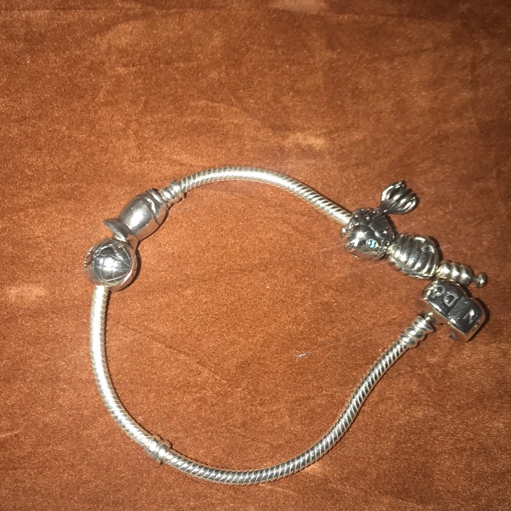 Pandora bracelet with 4 charms