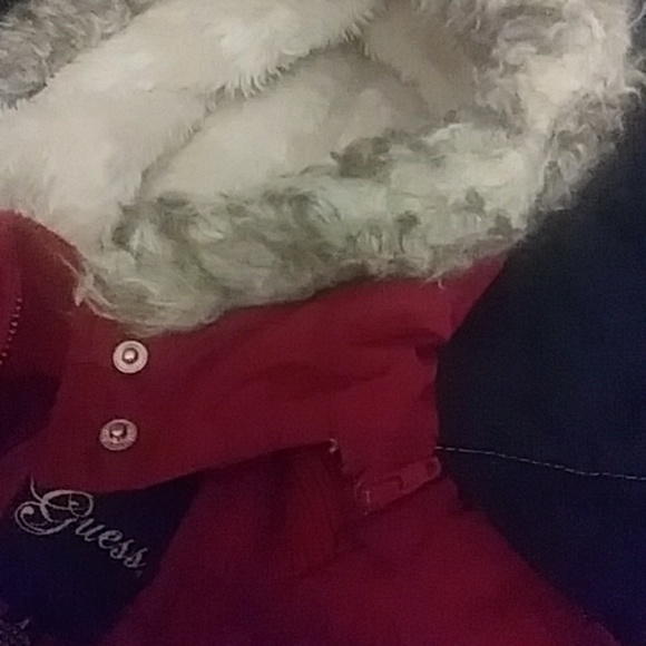 Coat - Picture 4 of 6