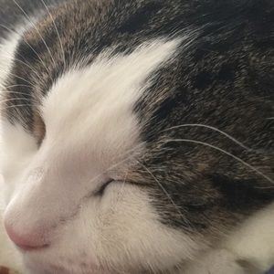 Meet your Posher, Cristina