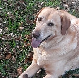 Meet your Posher, Janet