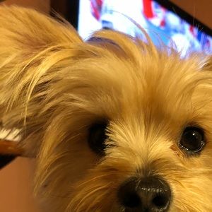 Meet your Posher, Katie