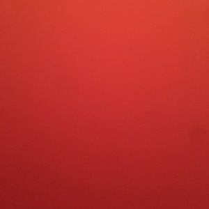 Meet your Posher, Skylar