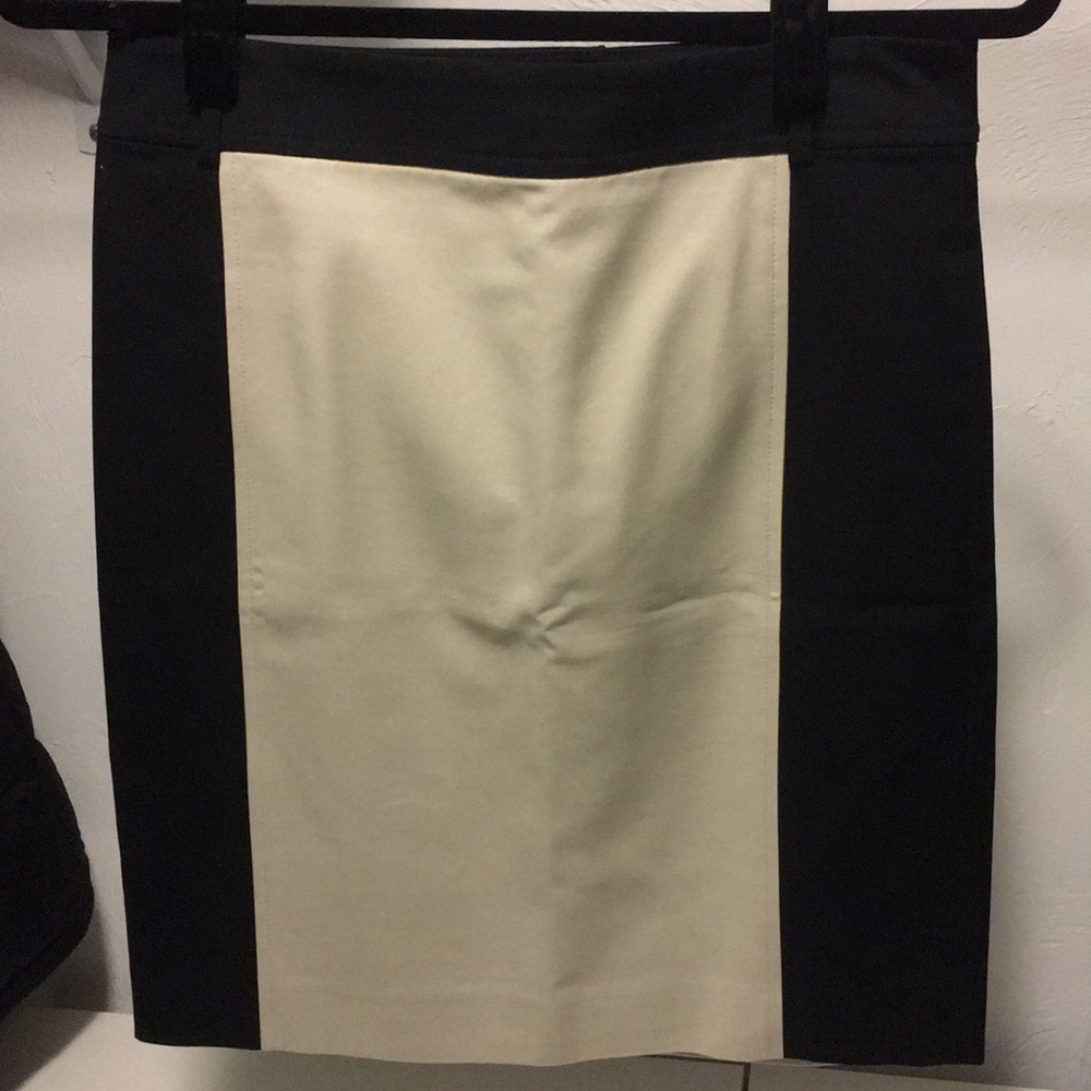 Ann Taylor skirt