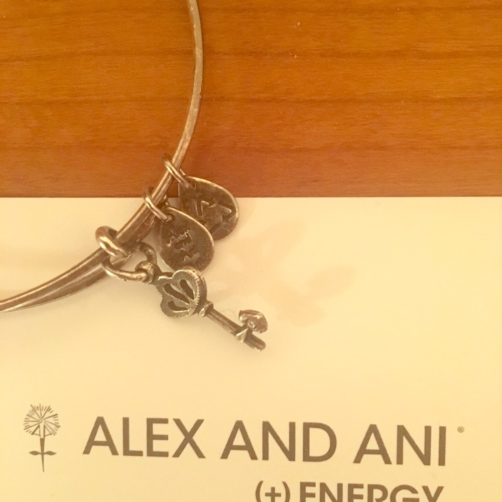 Alex and Ani silver bracelet