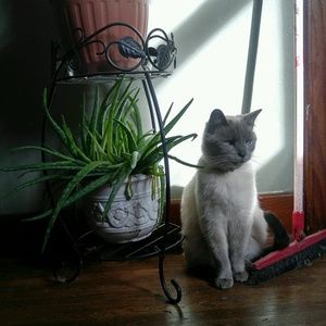 Meet your Posher, Sophie