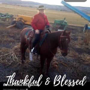 Meet your Posher, Barbra