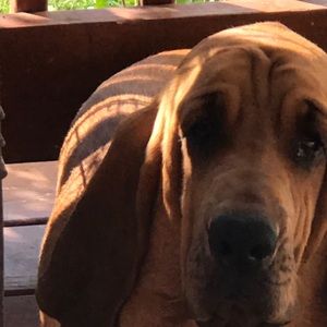 Meet your Posher, Lynn