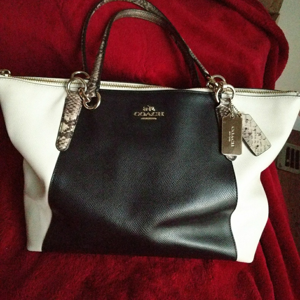 Coach Ava colorblock snake trim purse