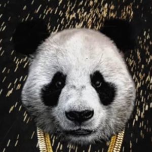 Meet your Posher, Adrian