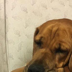 Meet your Posher, Katy