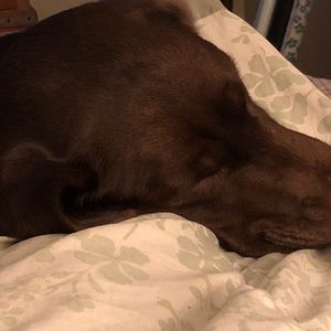 Meet your Posher, Karinza