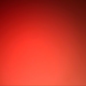 Meet your Posher, Roan