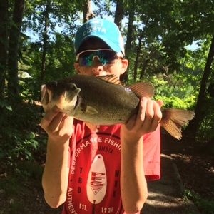 Meet your Posher, Griffin