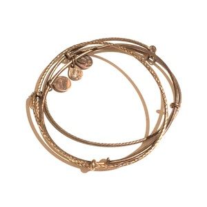 Alex & Ani starter bangle set