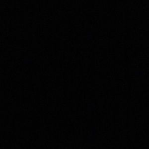 Meet your Posher, Billy