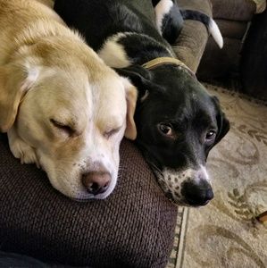 Meet your Posher, Jordan