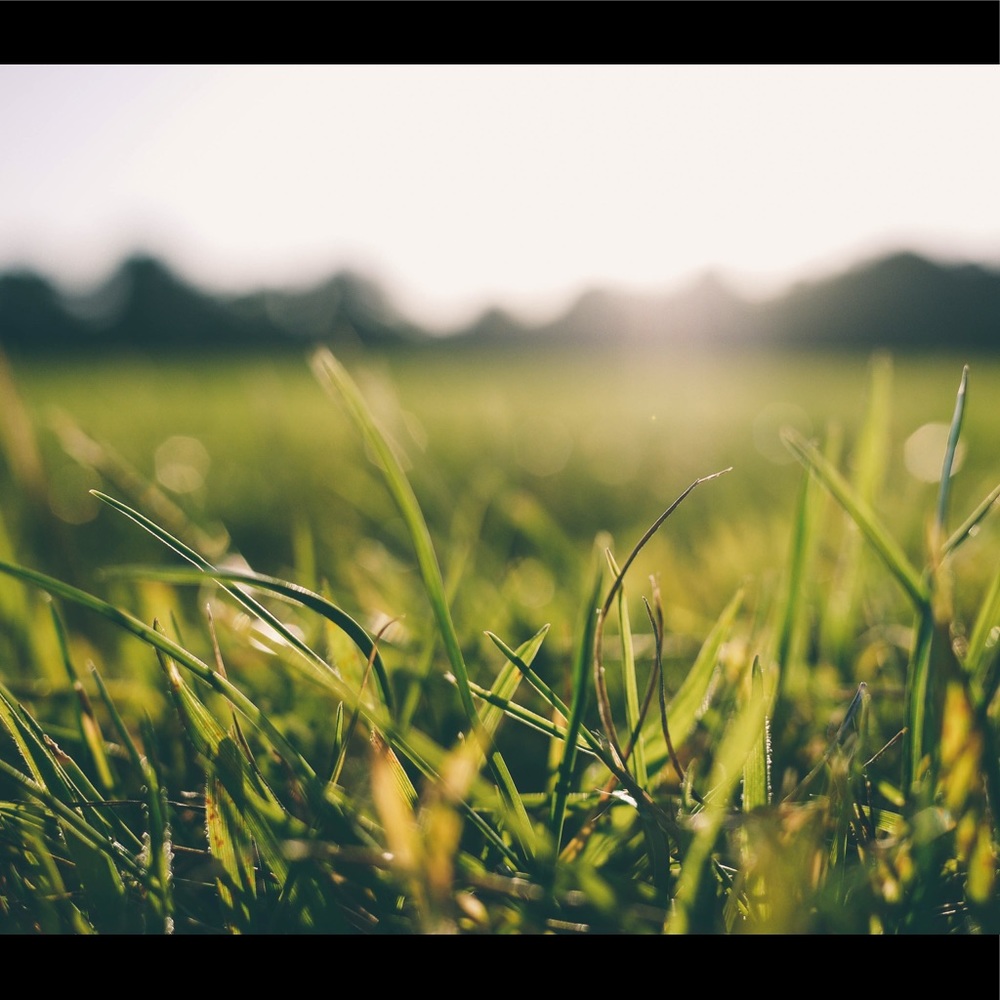 Meet your Posher, Liz