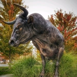 Meet your Posher, Aurelio