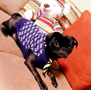 Meet your Posher, Carmen