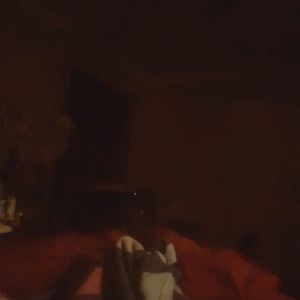 Meet your Posher, Lina