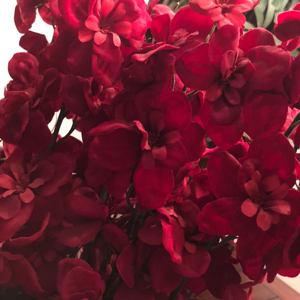 Meet your Posher, Ness