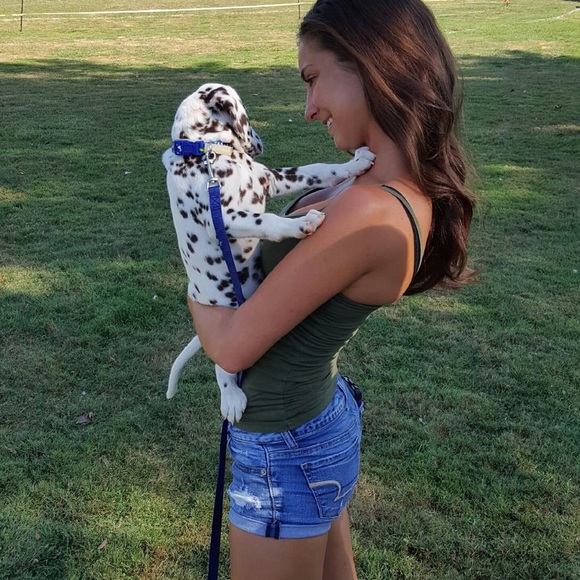 American eagle jean shorts - Picture 4 of 4