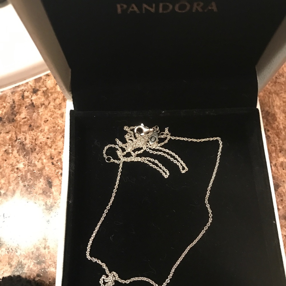 Authentic Necklaces 925s Ale Brandnew
