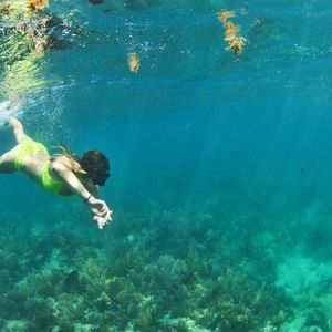 Meet your Posher, Cleo