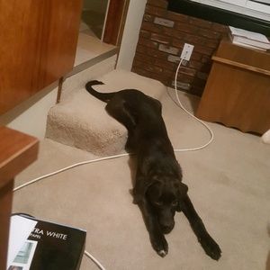 Meet your Posher, Josh