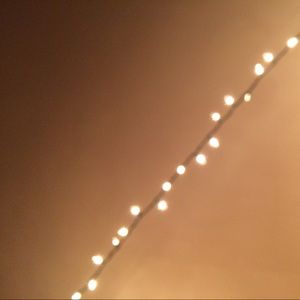 Meet your Posher, Irma