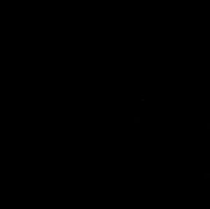 Meet your Posher, Gabrielle