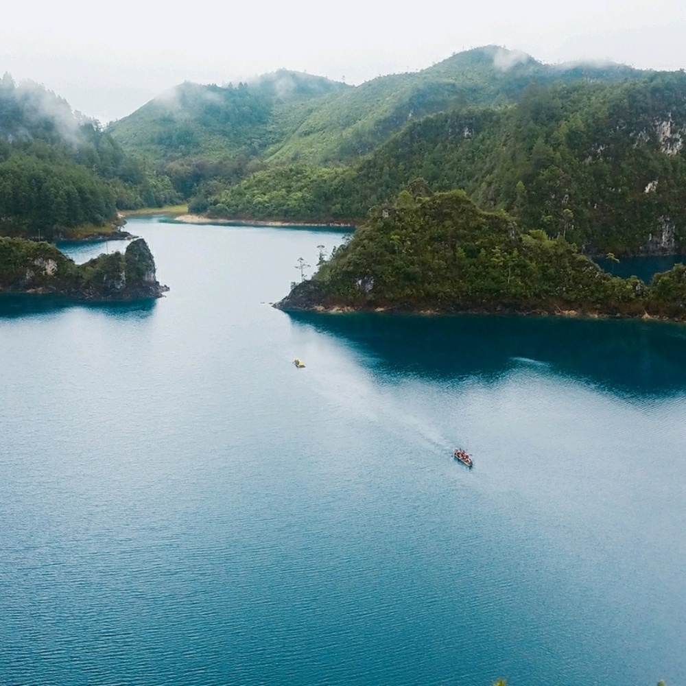 Meet your Posher, Daniela