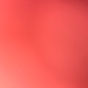 Meet your Posher, Saray