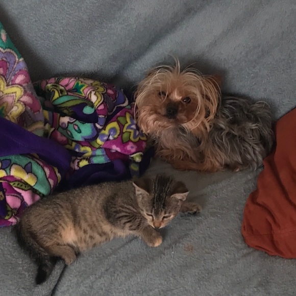 👊❤️Meet your posher❤️👊 - Picture 2 of 2