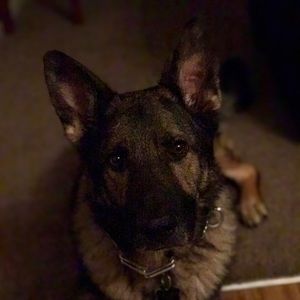 Meet your Posher, Elspeth