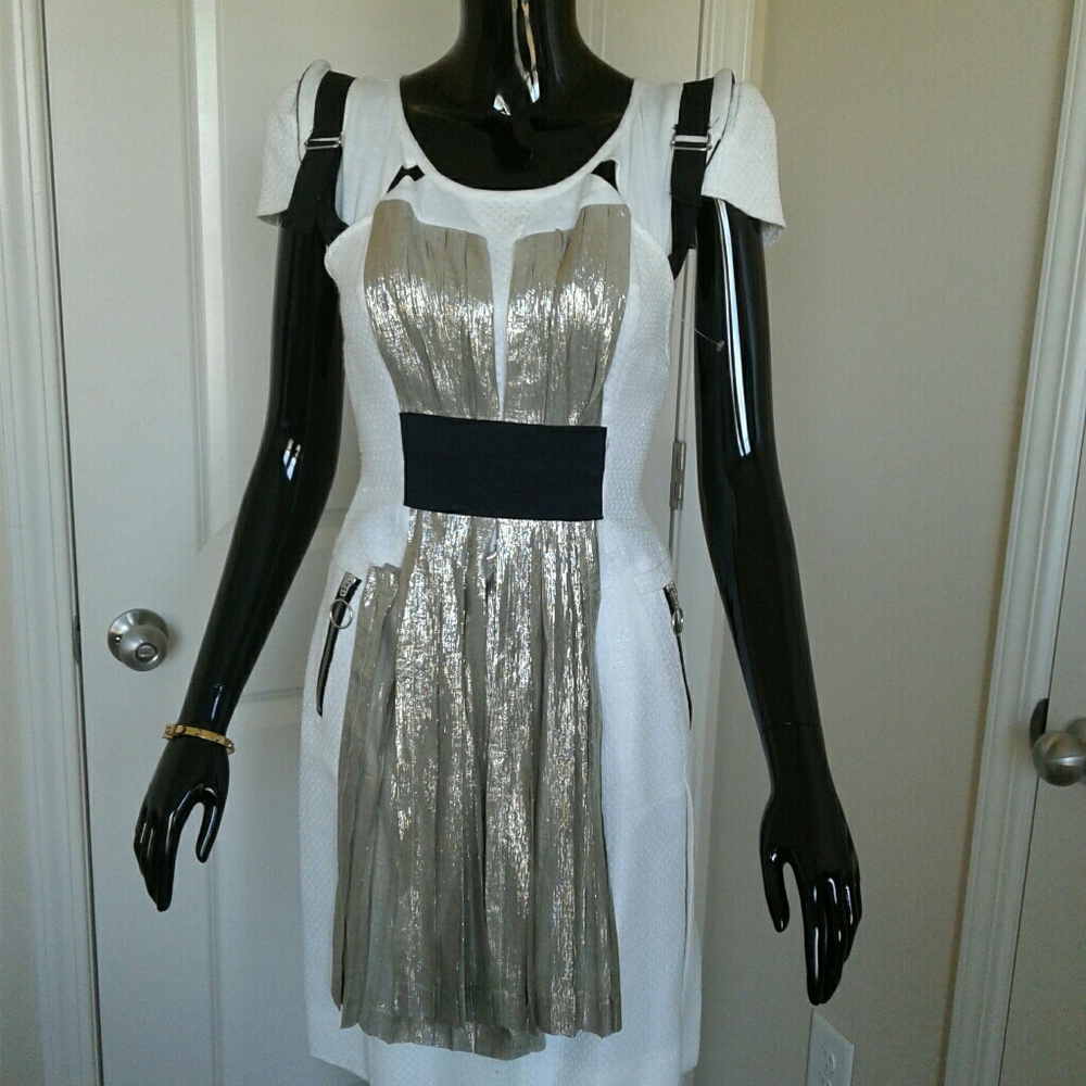 Tim Van Steenbergen Runway Dress