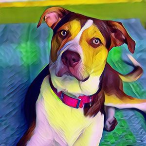 Meet your Posher, Erin