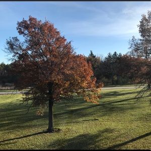 Meet your Posher, Jing