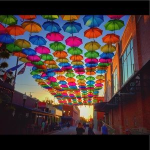 Meet your Posher, Eva